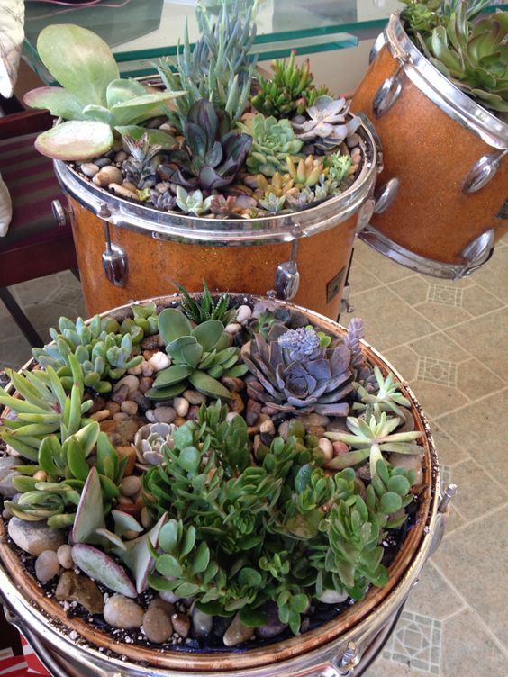 Succulent planters made from tom drums
